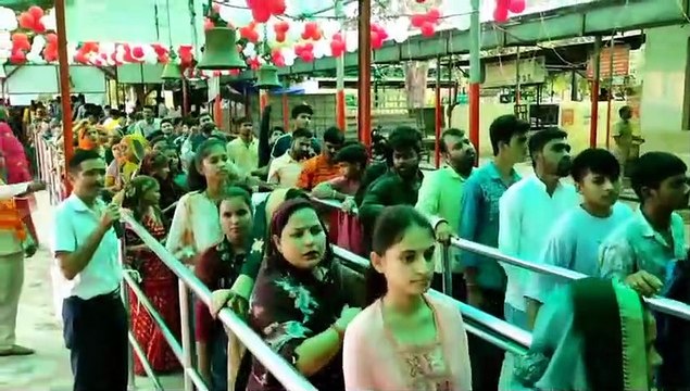 घर-मंदिरों में विराजे गजानन, दर्शन को उमड़े श्रद्धालु, गूंज उठे जयकारे