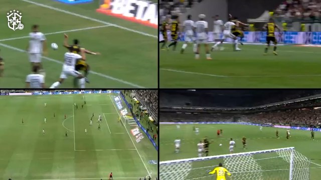 Seneme apoia decisão da arbitragem em gol anulado do Botafogo contra o Atlético-MG