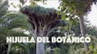 The Gardens Of La Oratava - Jardines del Marquesado de la Quinta Roja And The Botanic Garden