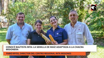 Lanzaron Bautista INTA la semilla adaptada al clima misionero