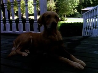 Goosebumps S02E17 Vampire Breath