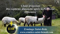 Communion Vovete du 17e dimanche après la Pentecôte - Ermitage Saint-Bède - Ciné Art Loisir  by JC Guerguy