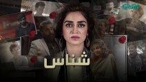 Shanaas  Episode 17  Hajra Yamin  19  September 23  Green TV Entertainment