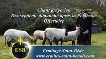 Offertoire Oravi Deum du 17e dimanche après la Pentecôte - Ermitage Saint-Bède - Ciné Art Loisir by JC Guerguy