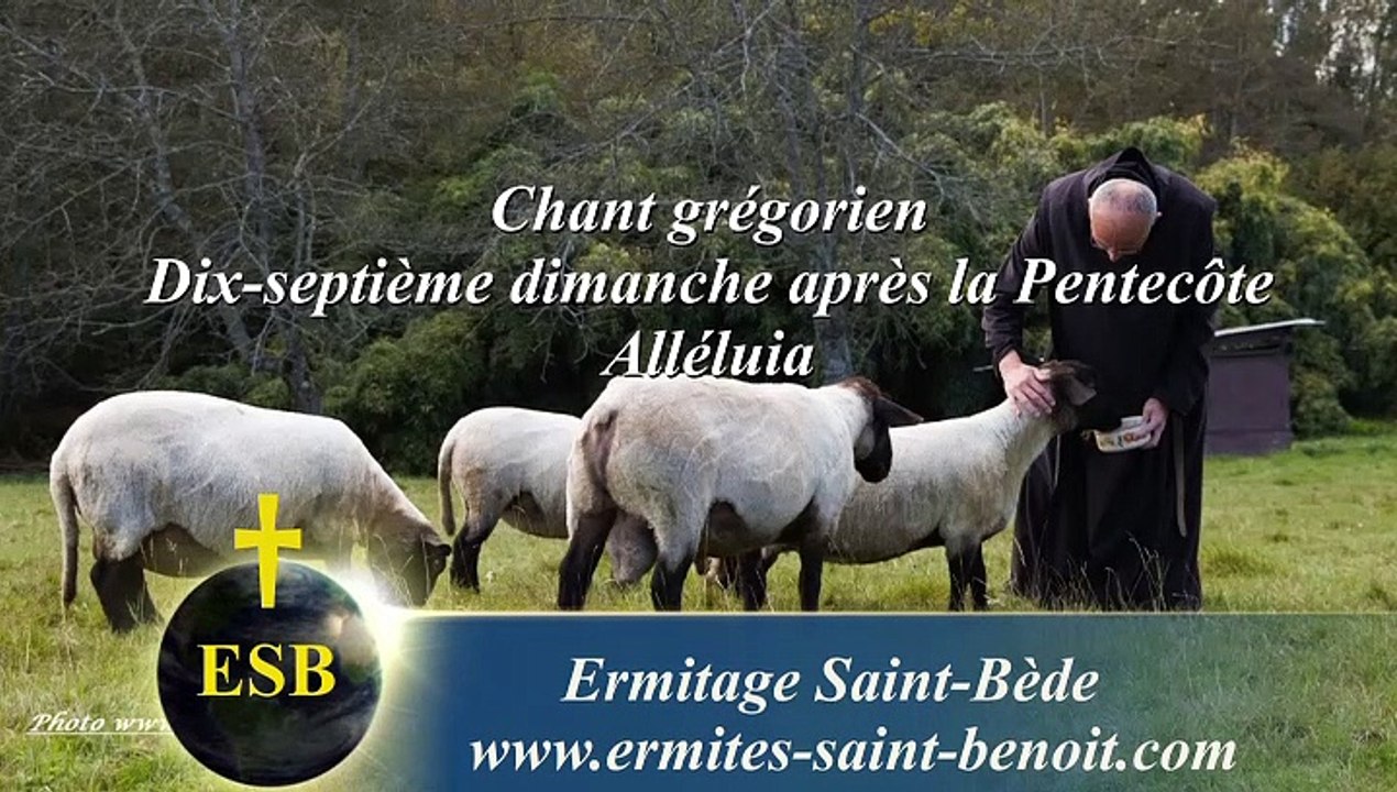 Alléluia Domine exaudi du 17e dimanche après la Pentecôte - Ermitage Saint-Bède - Jean-Claude Guerguy pour Ciné Art Loisir.