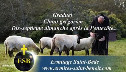 Graduel Beata gens du 17e dimanche après la Pentecôte - Ermitage Saint-Bède - Ciné Art Loisir