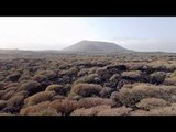 Malpaís de Güímar - The Badlands of Tenerife - Volcanic Coastal Landscapes - Canary Blog