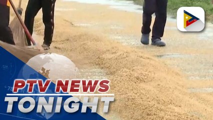 NFA to buy unmilled rice at higher price to help farmers