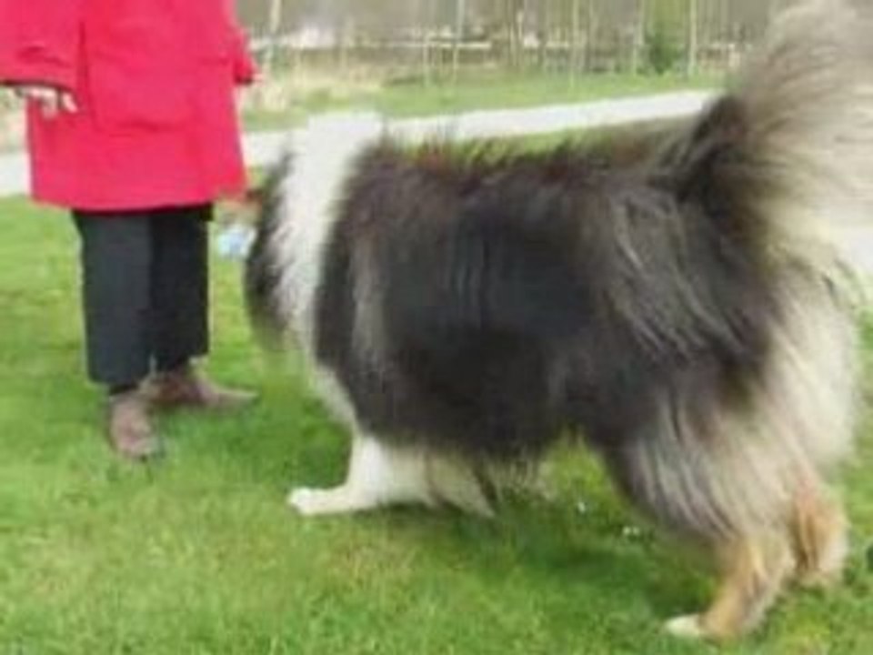 Seance obr aux aulnes