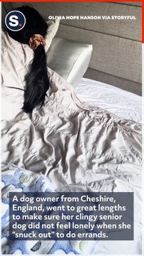 Woman Constructs Replica of Herself to Keep Her Clingy Senior Dog Company