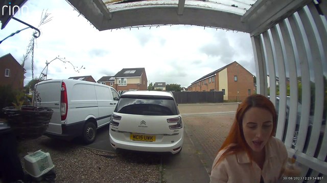 WARNING - DISTURBING FOOTAGE: Terrifying moment Rottweilers charge into family home and maul pet cats to death in front of screaming kids