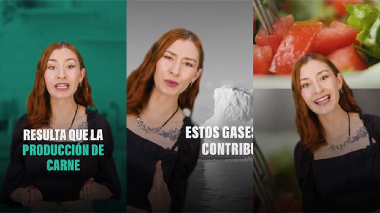 El impacto del consumo de carne roja en el medio ambiente
