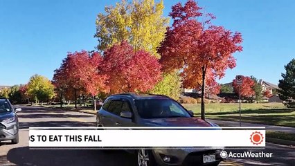 Healthy foods to eat this fall