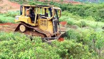 Citronella Land Converted Into Palm Oil Plantation, D6R Xl Bulldozer Cleans Citronella