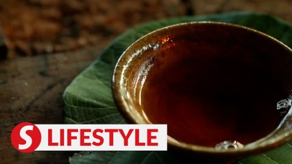 Echoes of Jingmai: New UNESCO jewel amidst ancient tea forests