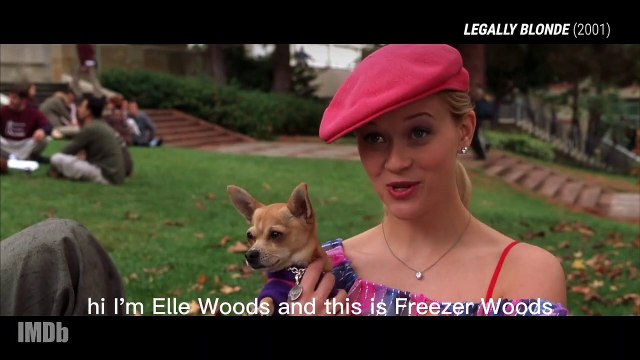 Reese Witherspoon: From Elle Woods to Big Little Lies - A Career Tribute