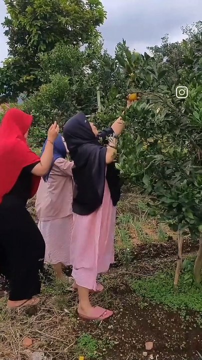 VID_45300907_092237_200