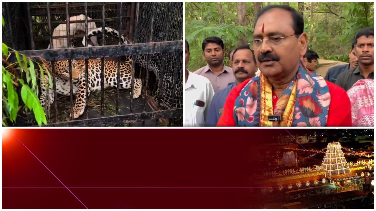 Tirumala లో భక్తుల కోసం ఆ ఏర్పాట్లు - Bhumana Karunakar Reddy | Telugu OneIndia