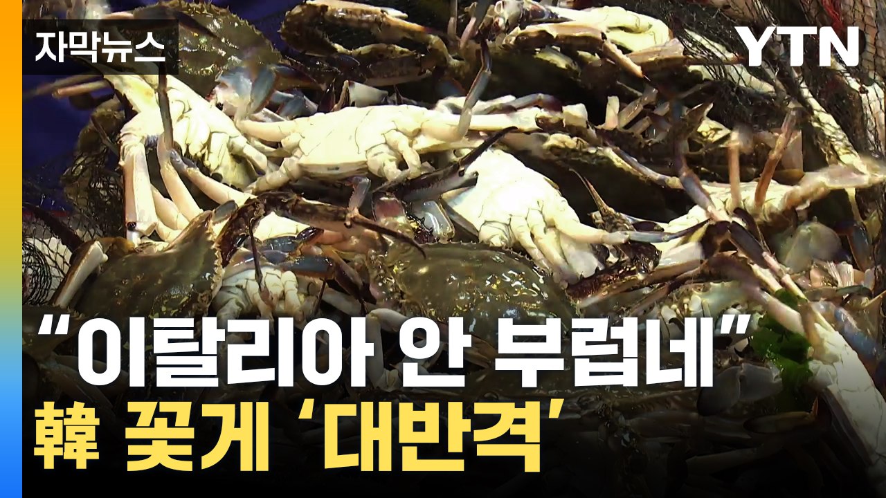 [자막뉴스] "이탈리아 안 부럽네"...난리 난 '韓 꽃게' 상황 / YTN