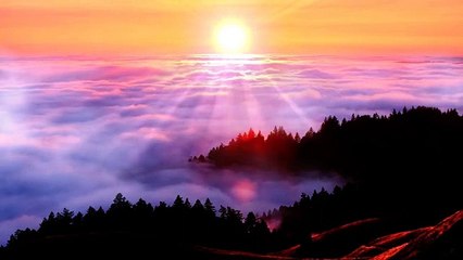 I Am Light I SELF LIGHT MEDITATION I