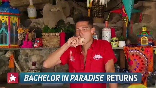 Wells Adams' KEY To 'Bachelor In Paradise' Advice