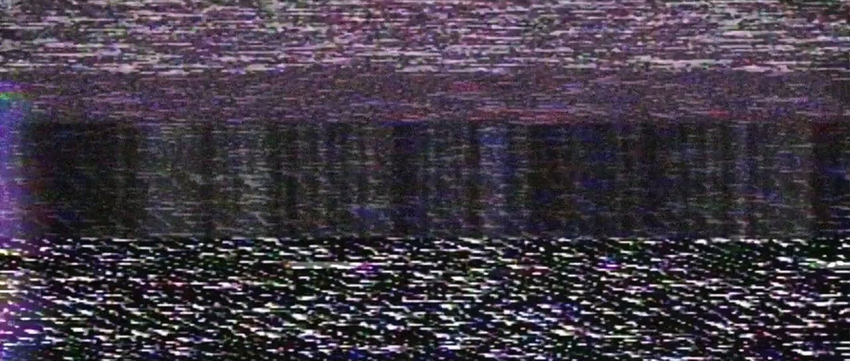 Suitable Flesh Trailer OV