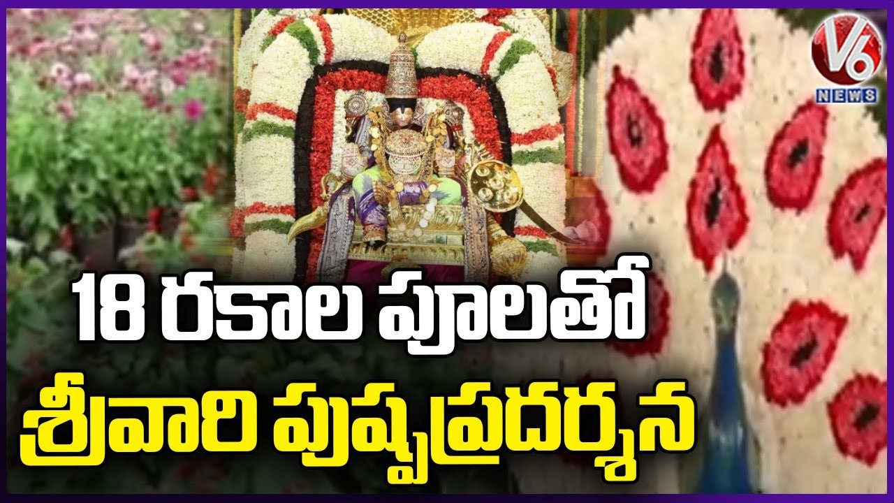 Srivari Pushpa Pradarshana Attracts Devotees In Tirumala  _  V6 News (1)