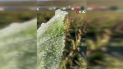 Ardahan'da sıcaklık sıfırın altına düştü