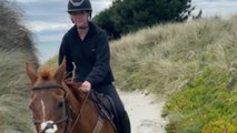 Horse in complete awe of the beach forgets that he has a rider on his back