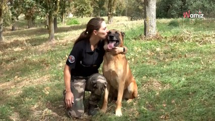 Abandonné, Looba devenu un chien gendarme obtient un prix pour son travail héroïque