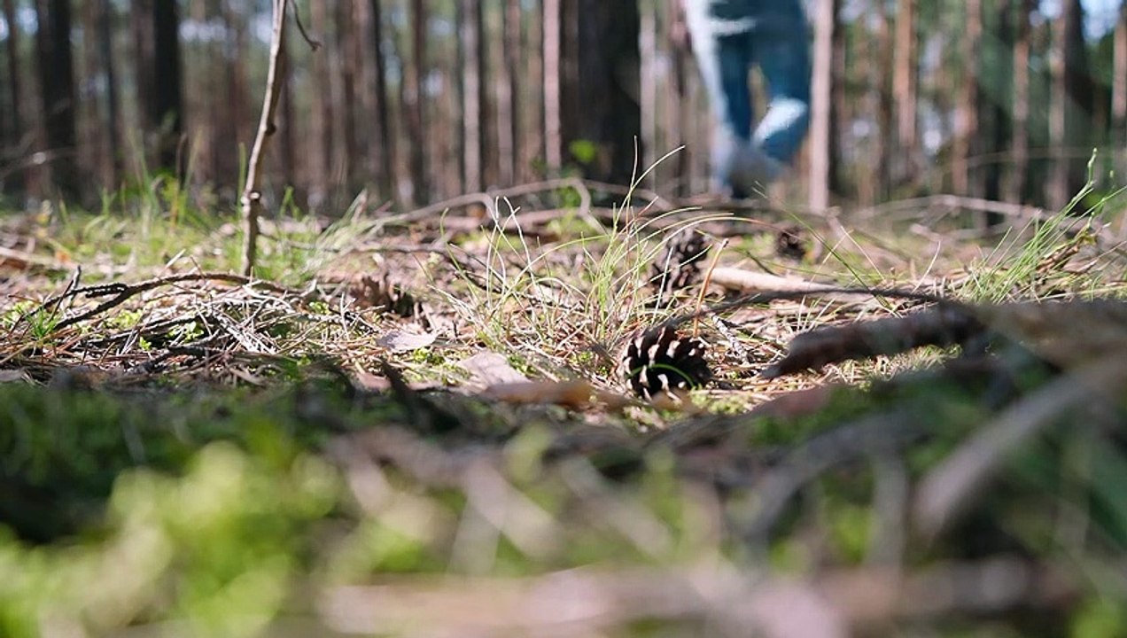 Grzybobranie w Lubuskiem. Jak zachować się w lesie? Na co uważać zbierając grzyby?