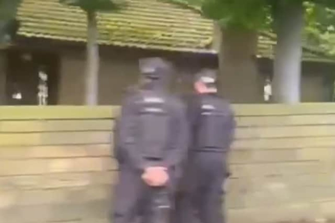 Sheffield Headlines 20 September: Man, 53, arrested after walker mauled by bull mastiff-type dog