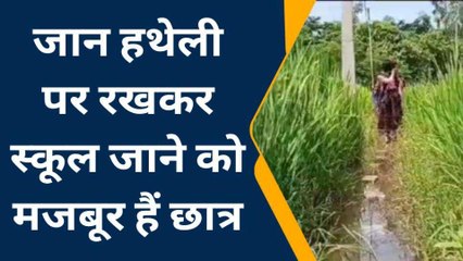 बस्ती: स्कूल के लिए नहीं रास्ता, काटों भरा सफ़र पार कर पहुंचते हैं छात्र