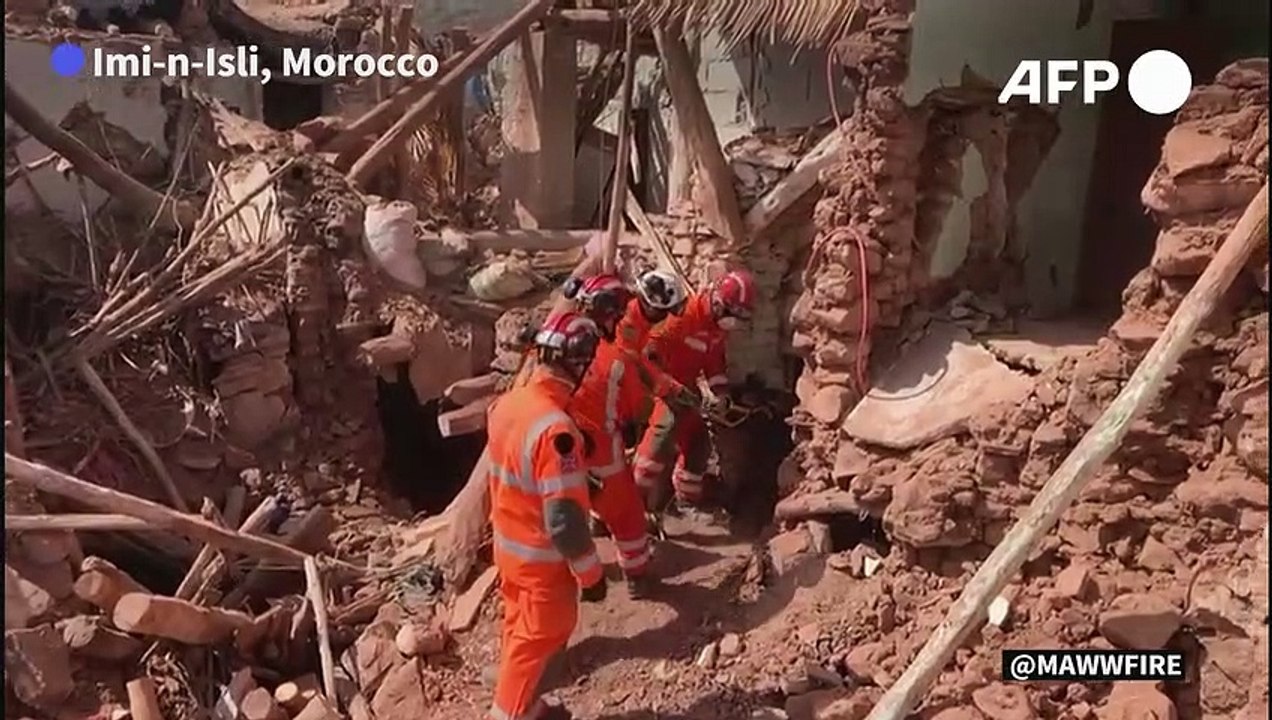 Donkey rescued after six days under the rubble in Moroccan village