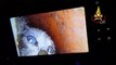 Vigili del fuoco salvano gattino finito in un tubo per lo scolo