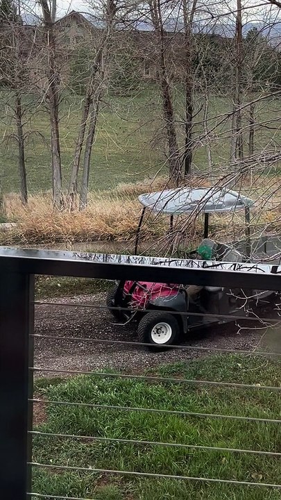 Son Drives Golf Cart Home