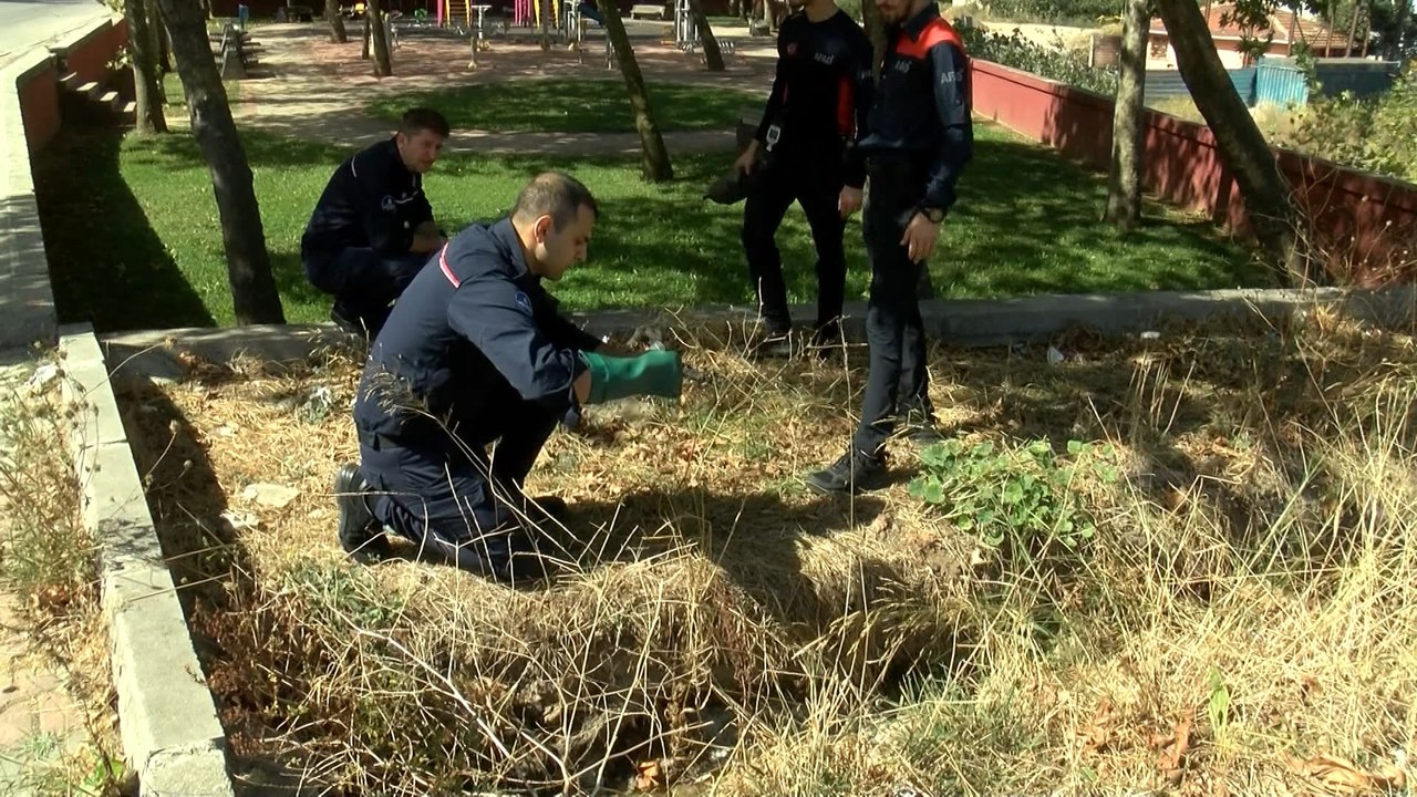 Sultanbeylide 'Kimyasal' paniği