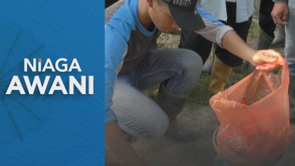 Hala tuju jelas tetapi dasar masih perlu diperhalusi - Pakar