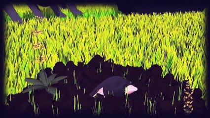 Videografik: Pestizide