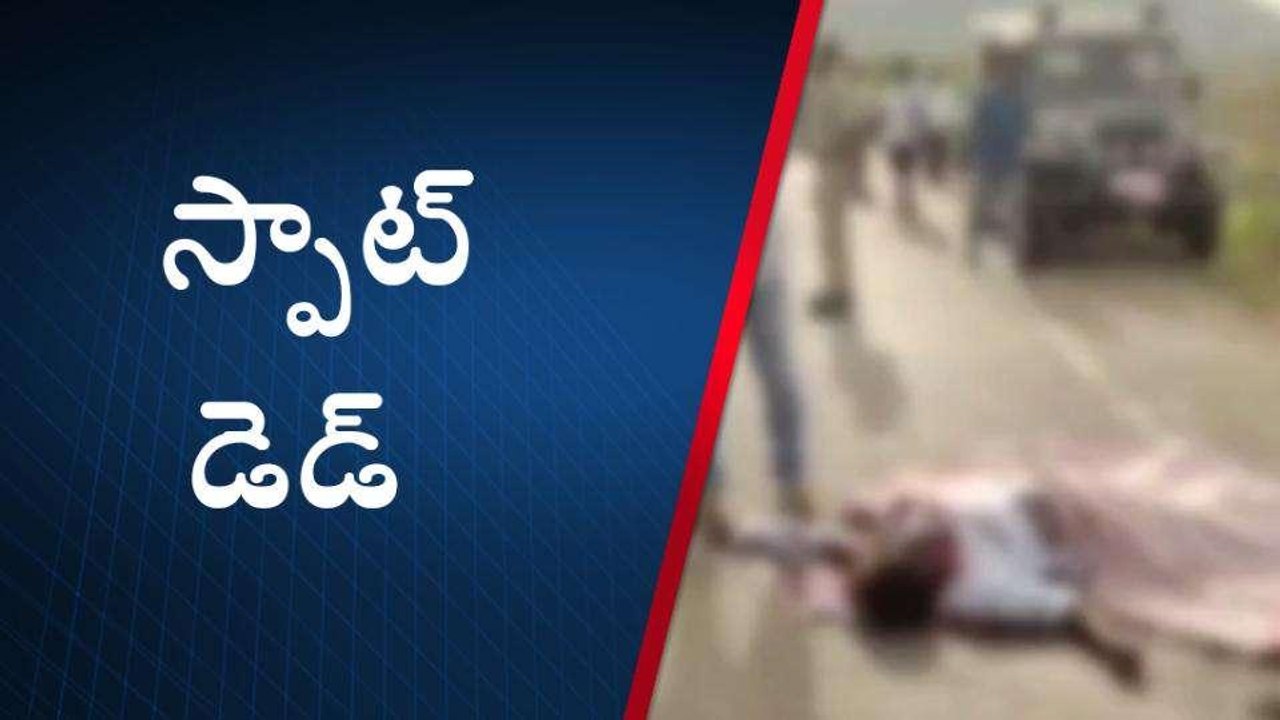 నెల్లూరు జిల్లా: రోడ్డు ప్రమాదం... వ్యక్తి స్పాట్ డెడ్