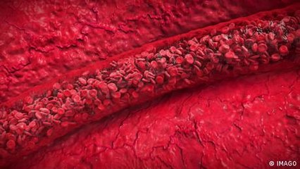 Woraus besteht unser Blut? Und wo wird es gebildet?