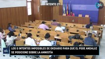 Los 5 intentos imposibles de OKDIARIO para que el PSOE andaluz se posicione sobre la amnistía
