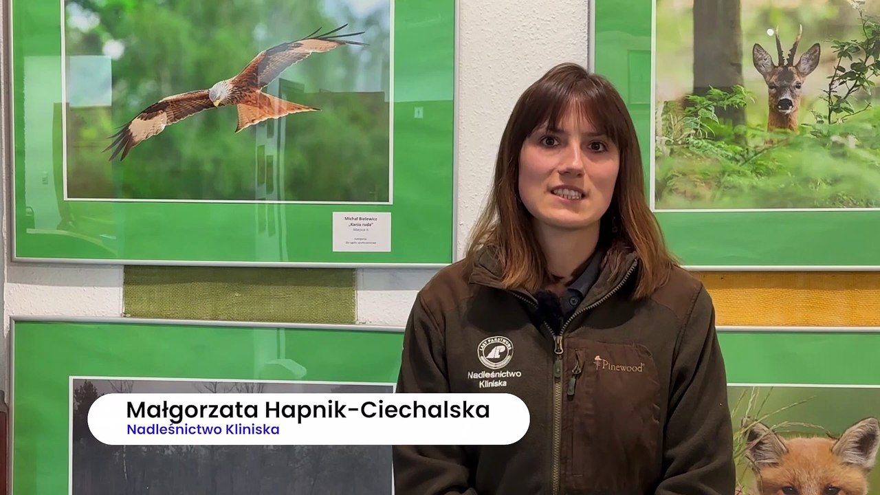 XXII edycja konkursu fotograficznego "Leśne pejzaże"