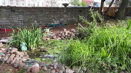 Bastion św. Elżbiety w Gdańsku w opłakanym stanie