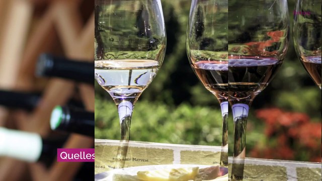 Aldi lance sa foire aux vins d’automne: voici les 5 bouteilles à acheter, selon des experts en vin