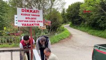 Arhavi'de Kuduz Köpek Nedeniyle 3 Köy Karantinaya Alındı