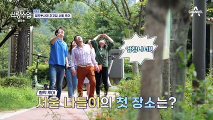처가 식구들과 함께하는 서울 투어! 사위 형탁이 준비한 특별한 여행 코스는?
