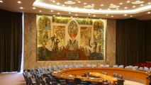 Consejo de Seguridad de la ONU dialogará sobre la invasión rusa a Ucrania con posible presencia de Volodímir Zelenski