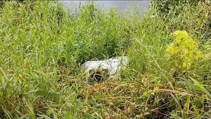 Corpo é achado dentro de saco em Arapiraca