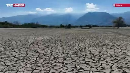 Düzce'de 'mil kuraklığı' tarım alanı ve meraları etkiledi